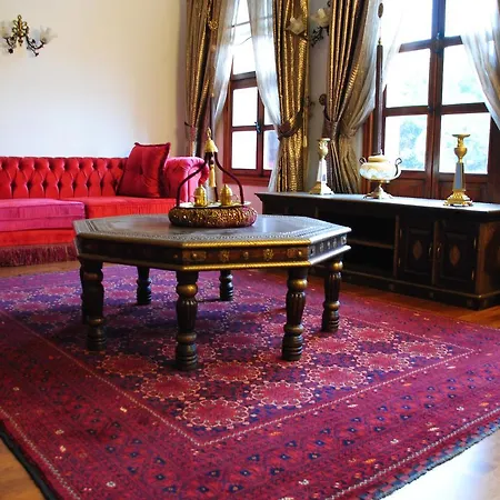 Hotel Altin 3*